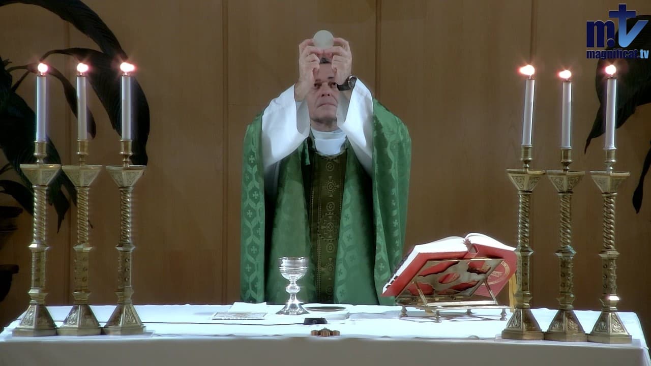 La Santa Misa de Hoy | Domingo XXX del Tiempo Ordinario (25-10-2026) | Pbro. Javier Martín, FM